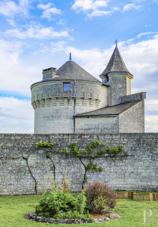 En Indre-et-Loire, à Candes-Saint-Martin, un château d’inspiration néo-gothique en belvédère sur la Loire et la Vienne - photo  n°4